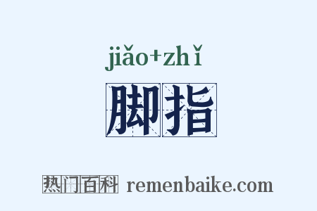 脚指是什么意思的图片